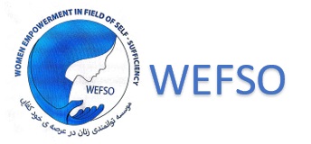 WEFSO